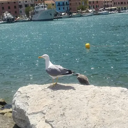 Passione Mare * Porto Venere